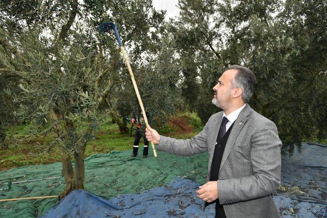 Başkan Aktaş’la hasat zamanı