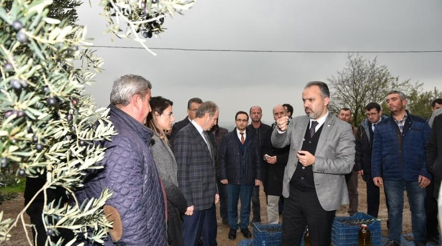 Başkan Aktaş&rsquo;la hasat zamanı