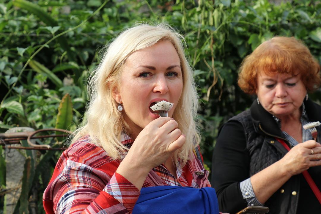 Pitaya bah&ccedil;esi servet kazandırıyor