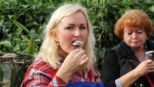 Pitaya bahçesi servet kazandırıyor