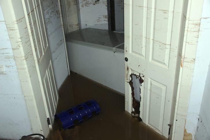 Hayatlarını bu küçük pencere kurtardı! İçeriyi gören şaşkına dönüyor G4