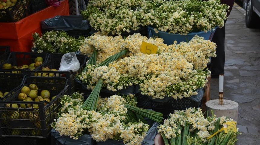 Sinop&rsquo;ta nergis gelir kapısı oldu