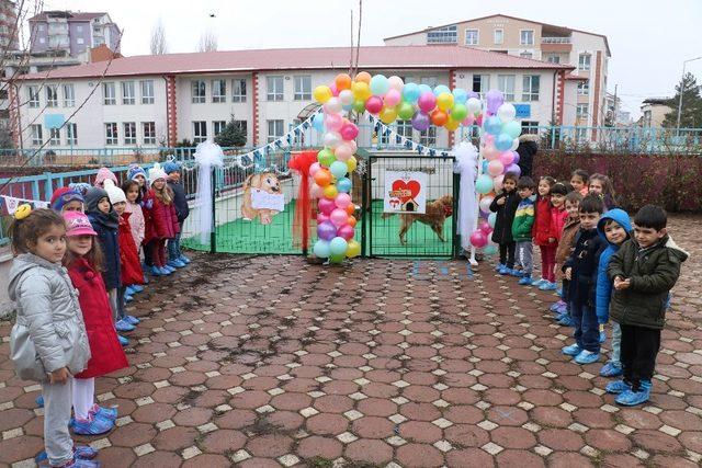 Sevgi barınakları öğrencilere hayvan sevgisi aşılayacak