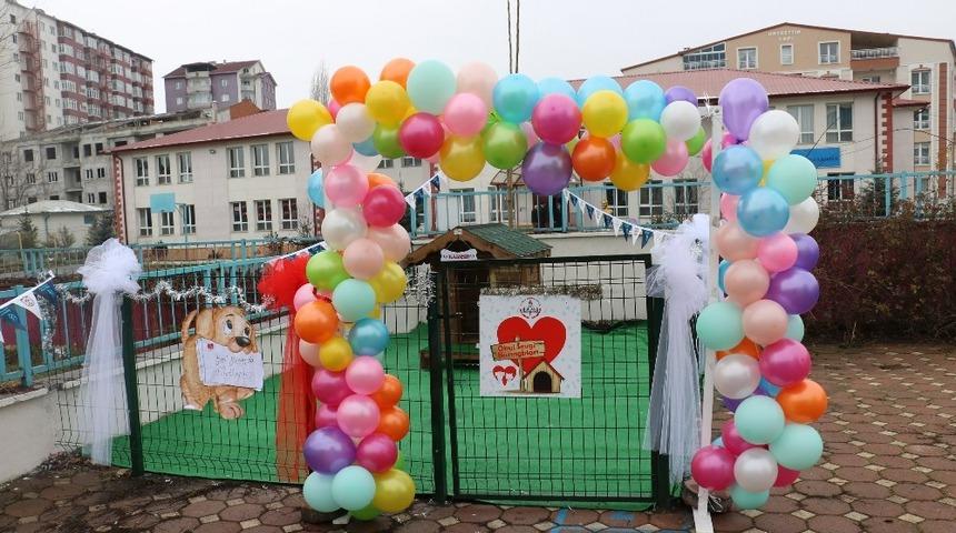 Sevgi barınakları &ouml;ğrencilere hayvan sevgisi aşılayacak