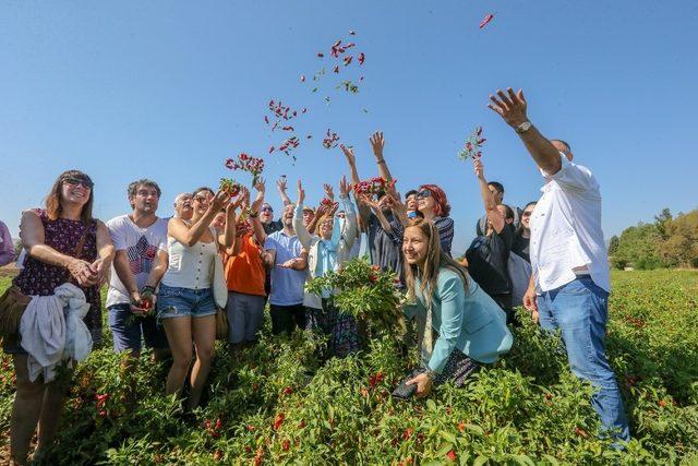 Gaziantep’te tarım ve hayvancılığa büyük destek