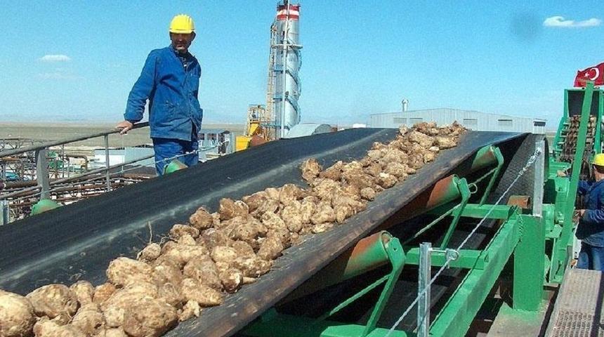  Uşak'taki 93 yıllık fabrikada şeker pancarı alımı başladı