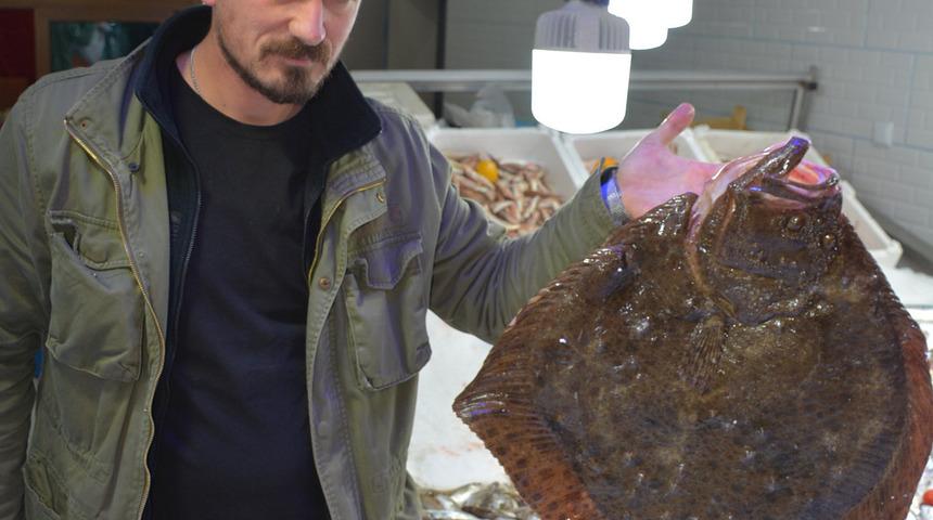 Bu kalkan balığının fiyatı dudak uçuklatıyor