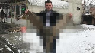 Erzurum'da yaralı olarak bulunan baykuşu fotoğraflamak için sıraya girdiler!