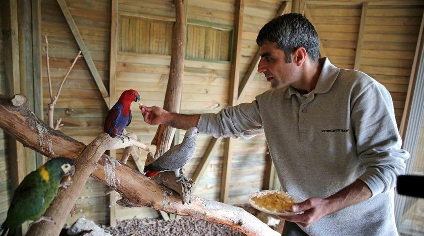 Ka&ccedil;ak papağanlar Karşıyakalı oldu