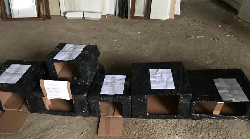 Kaynarcalı gen&ccedil;ler kedi ve k&ouml;pek evi yaptı