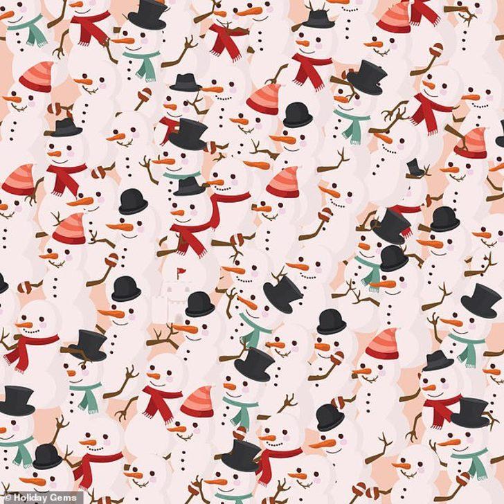 DİKKAT! Resimdeki kaleyi görebiliyor musunuz? G2