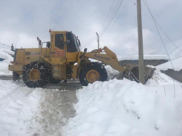 Hakkari’de köy ve mezra yolları yeniden açıldı