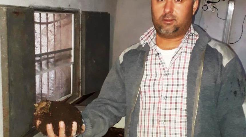 Sanayi kentinde solucan g&uuml;bresi &uuml;retiyor