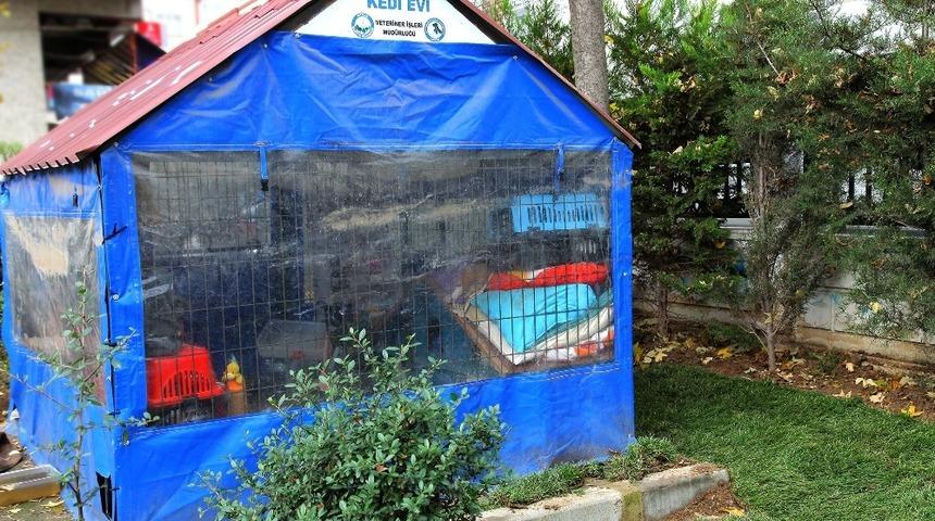 Avcılar&rsquo;da sokak hayvanları i&ccedil;in hazırlıklar tamamlandı