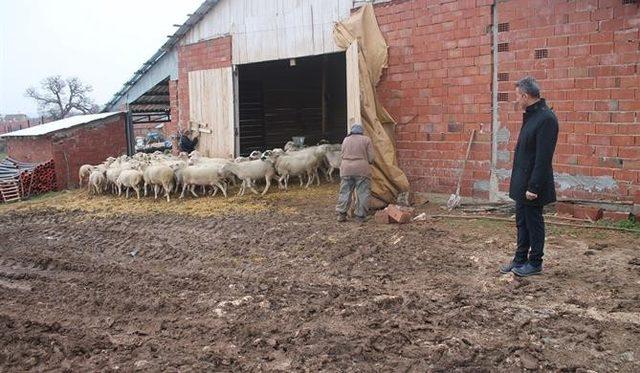 İl Müdürü Yoldaş’dan hayvancılık işletmesine ziyaret