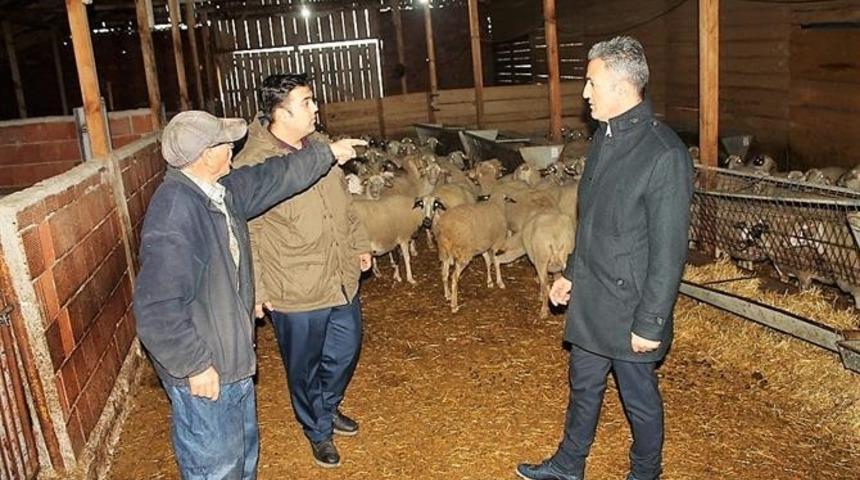 İl M&uuml;d&uuml;r&uuml; Yoldaş&rsquo;dan hayvancılık işletmesine ziyaret