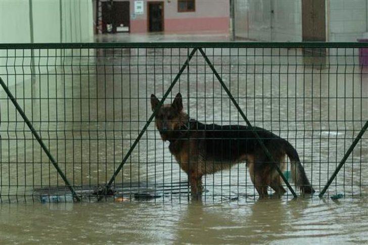 İstanbul'da kâbus gibi bir gün! G5