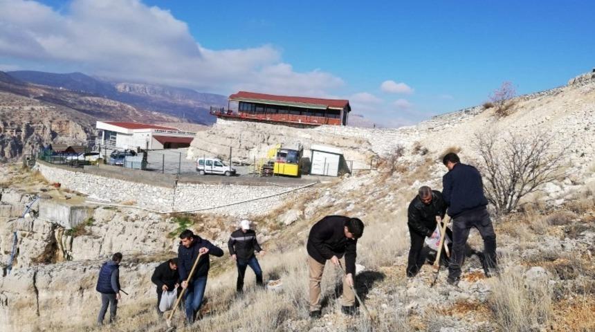 Levent Vadisi&rsquo;ne meşe palamudu dikildi