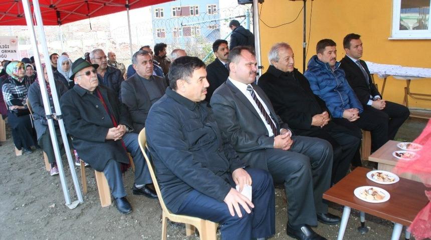 Devrek&rsquo;te &ccedil;ift&ccedil;ilere hibe koyun dağıtımı ger&ccedil;ekleştirildi