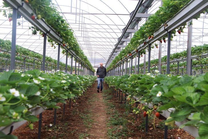 Serasından toprağı çıkardı, gelirini 5'e katladı G2