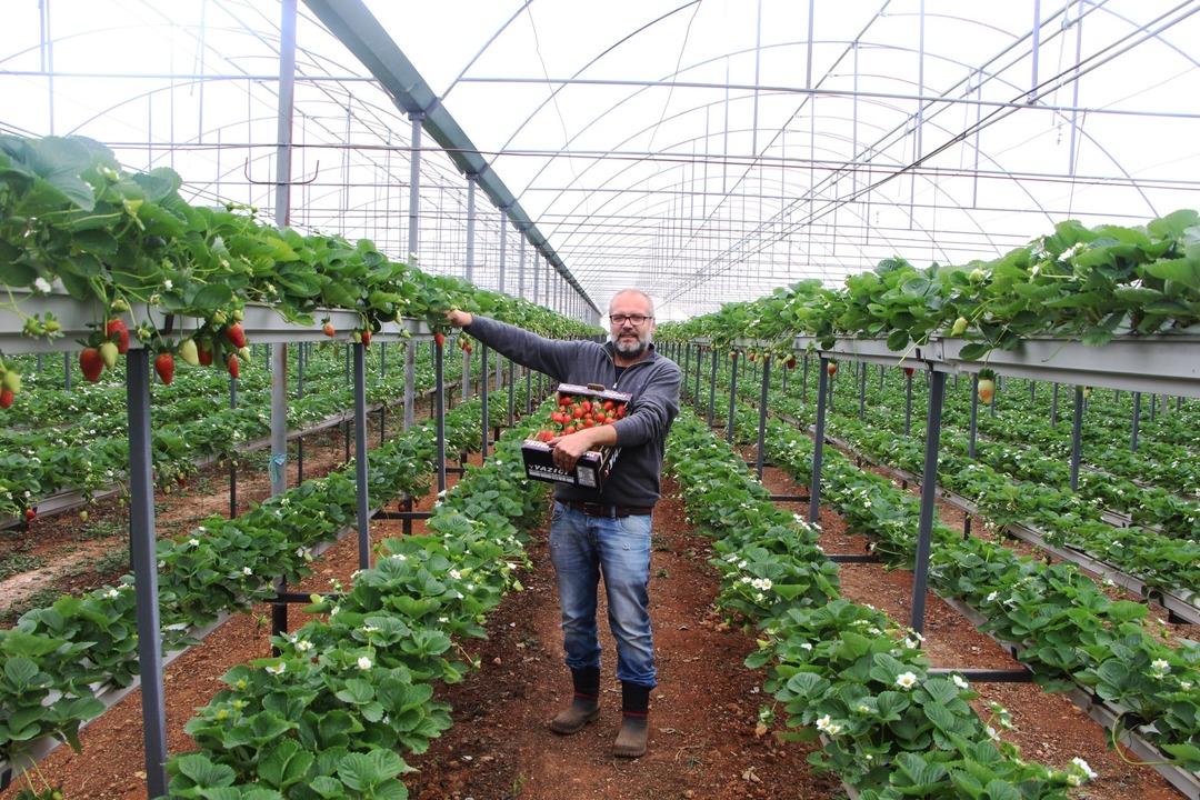 Serasından toprağı &ccedil;ıkardı, gelirini 5'e katladı