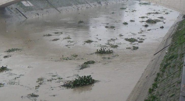 Asi Nehri’nde su seviyesi yükseldi G5