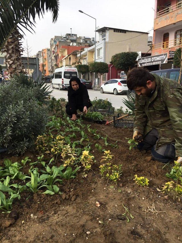 Samandağ’da kavşak ve refüjler renkleniyor