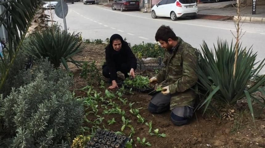 Samandağ’da kavşak ve refüjler renkleniyor