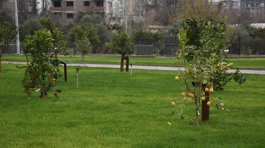 Nazilli&rsquo;de Mustafa Alptuğ S&ouml;zen Meyve Bah&ccedil;esine g&ouml;rkemli a&ccedil;ılış