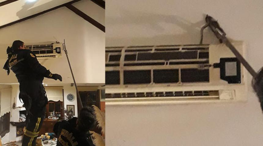 Klimadan 1 metrelik zehirli yılan &ccedil;ıkartıldı