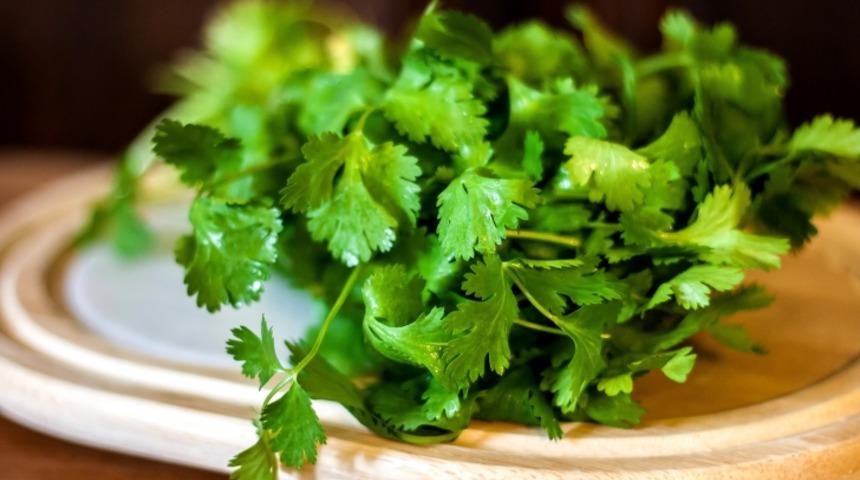 Bazılarımız Neden Taze Kişnişten Nefret Eder?