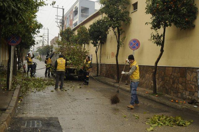 Büyükşehir Umurlu’da temizlik çalışması yaptı