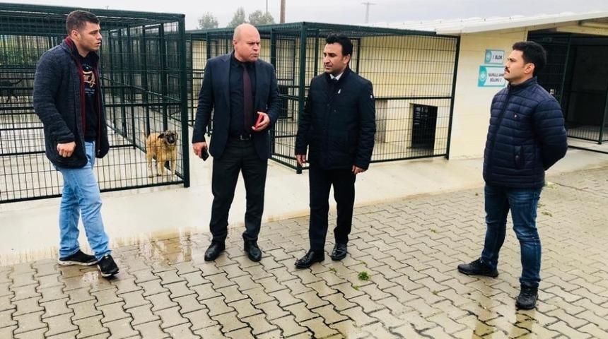 Akhisar’da 187 can yeni yuvasında