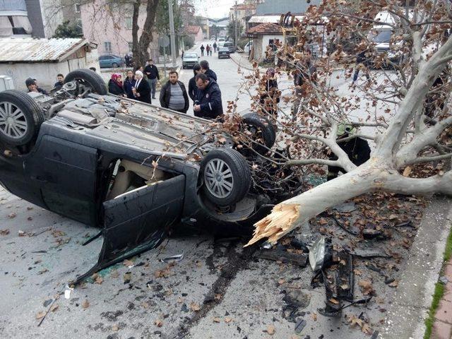 Kontrolden çıkan otomobil önce ağacı devirdi sonra takla attı