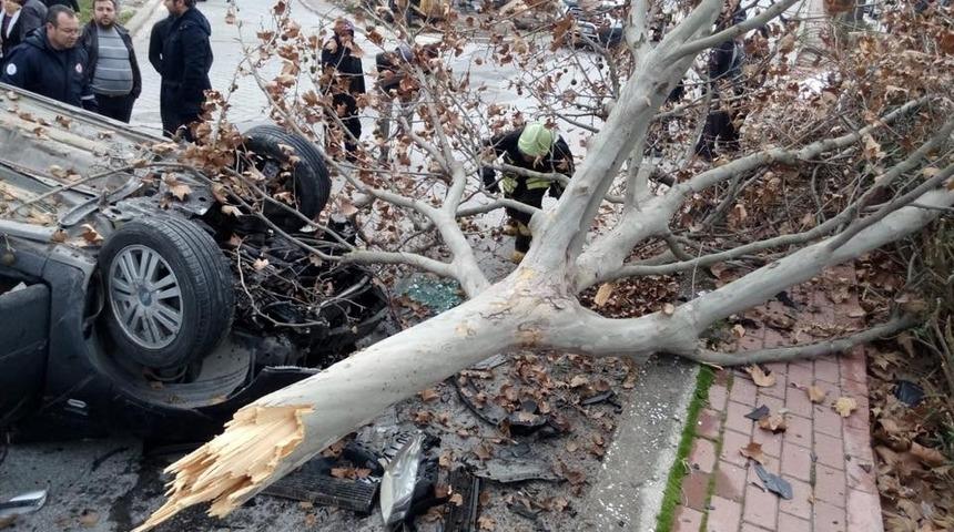 Kontrolden &ccedil;ıkan otomobil &ouml;nce ağacı devirdi sonra takla attı