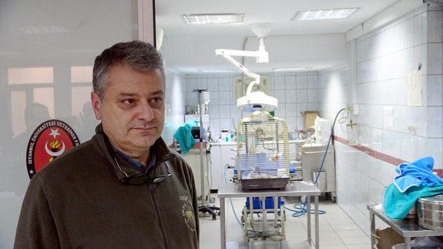 - Murat Özdemir'in işkence ettiği papağan öldü