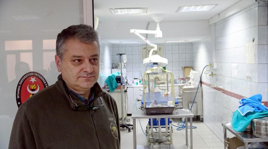 - Murat &Ouml;zdemir'in işkence ettiği papağan &ouml;ld&uuml;