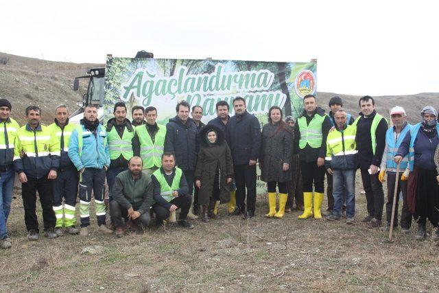 Çankırı Belediyesi bin 500 fidanı toprakla buluşturdu