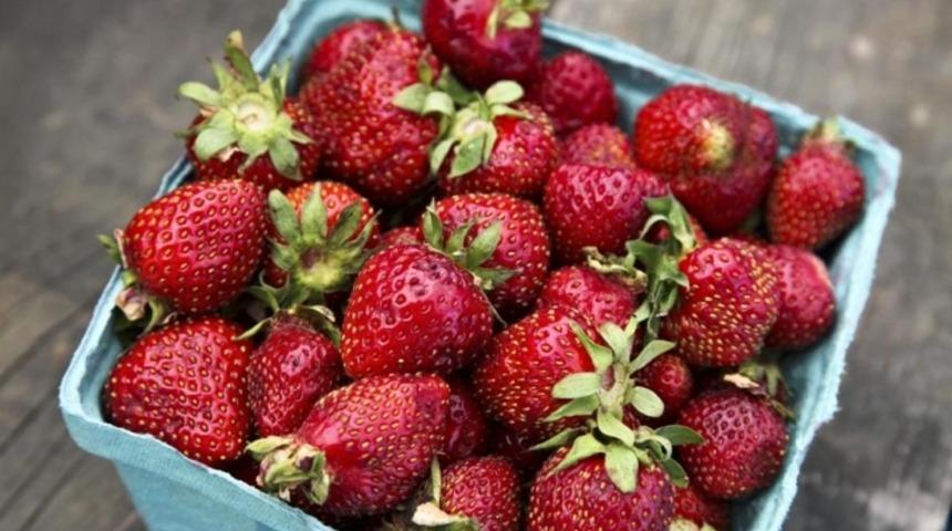 4 Adımda Evde Çilek Yetiştirme