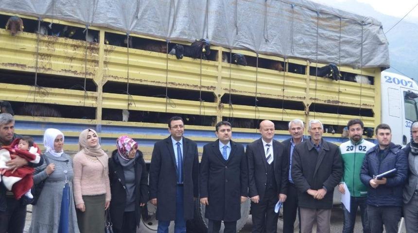 Siirtli gen&ccedil; &ccedil;ift&ccedil;ilere 148 adet ke&ccedil;i dağıtıldı