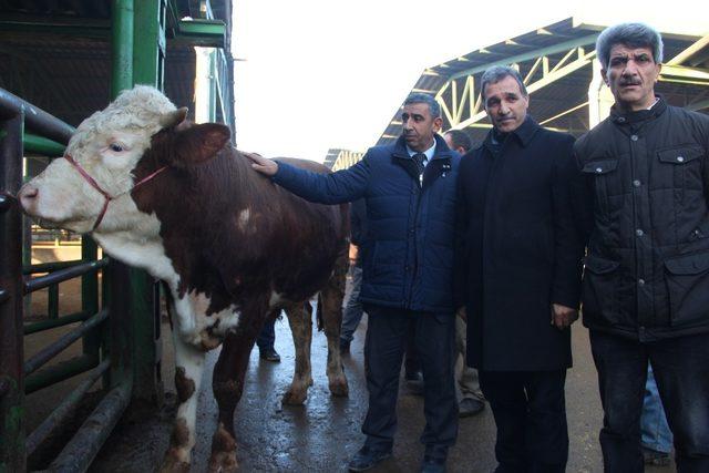 Kırmızı et üreticilerinden yem tepkisi