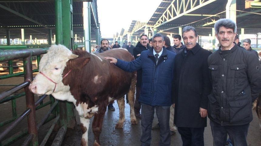 Kırmızı et &uuml;reticilerinden yem tepkisi