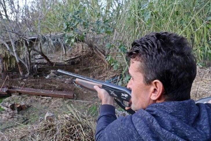 Parçalanmış halde buldu! Gizemli yaratığın peşine düştü G5