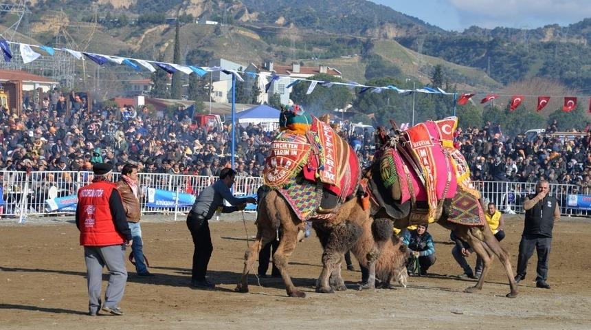 Aydın&rsquo;da deva g&uuml;reşi geleneği yaşatılıyor