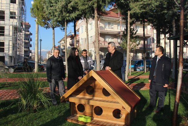 Bucak’ta parklara kedi ve köpeklere kulübeler konuldu