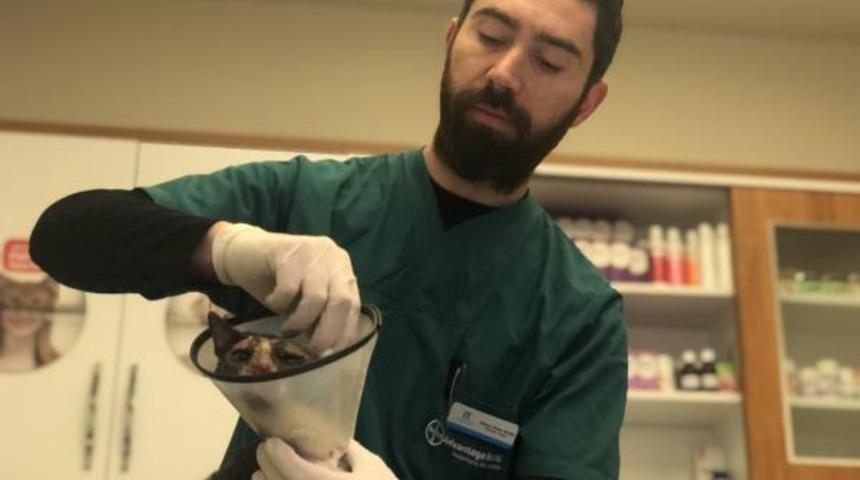 Bursa'da vahşet! Esnaf bu halde buldu