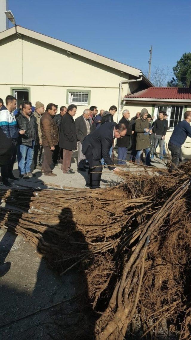 &Ccedil;ift&ccedil;ilere 3 bin 400 adet ceviz fidanı dağıtıldı 1