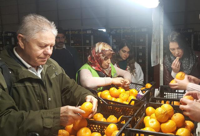 Rus Gıda Denetim Ajansı'ndan Akdeniz Meyve Sineği incelemesi