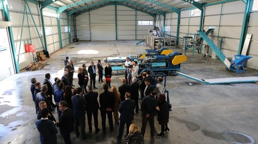 Muz atıkları g&uuml;bre ve hayvan yemi olacak