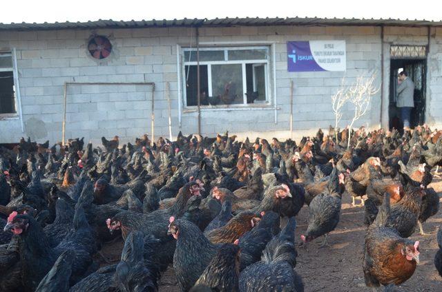 Hobisini gelir kapısına çevirdi